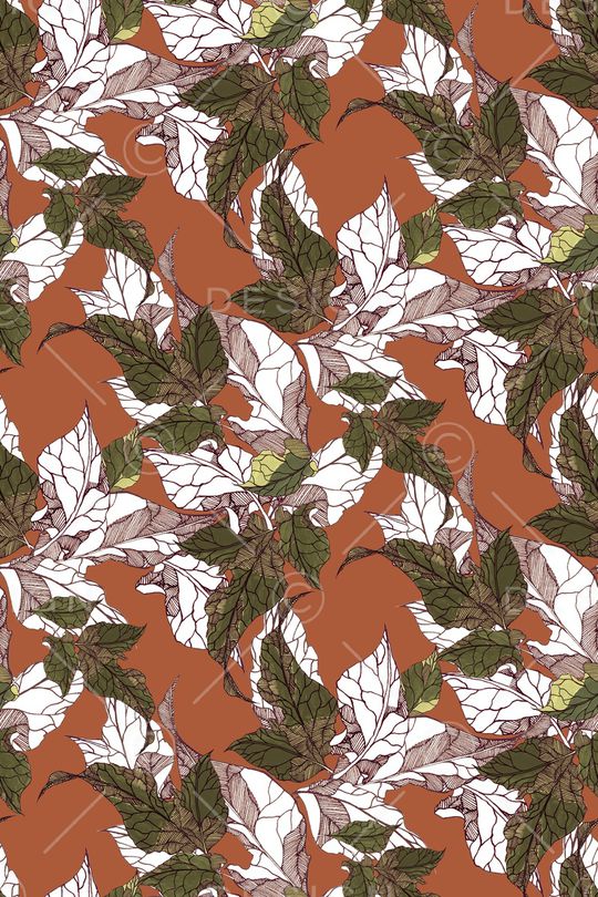 线条印花华亿平台图片