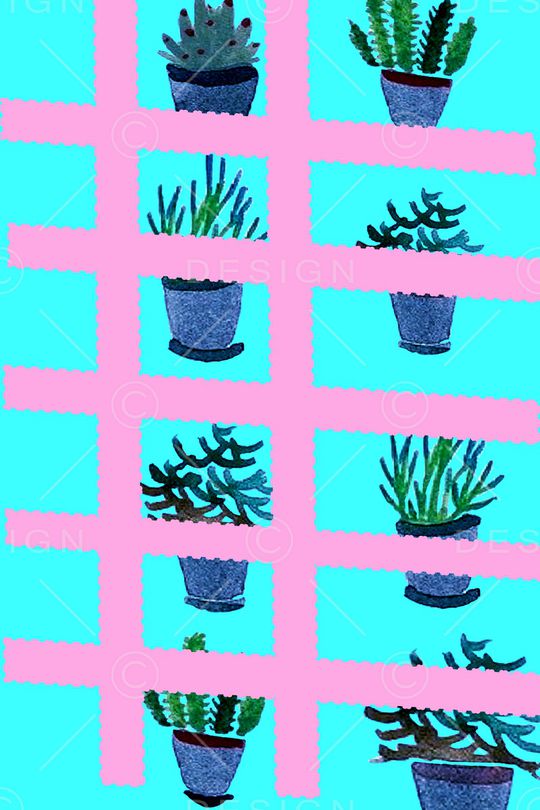 少女印花华亿平台图片