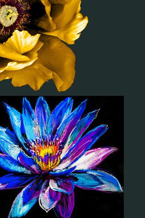 数码华亿平台印花华亿平台图片