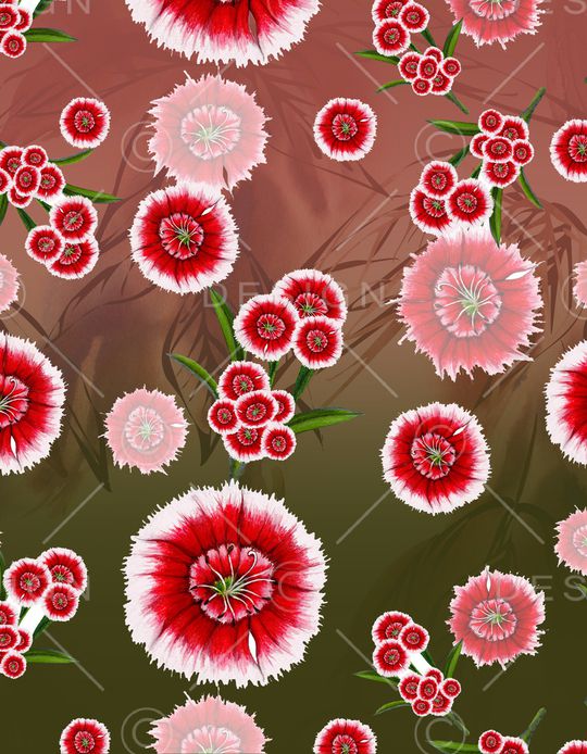 胸前独幅印花华亿平台图片