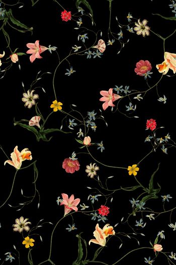 933977-th2017096370-1