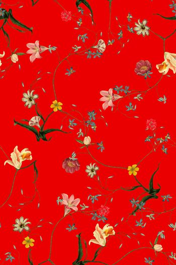 933978-th2017096370-2