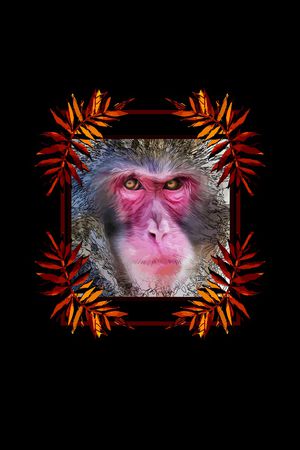 男装印花华亿平台图片