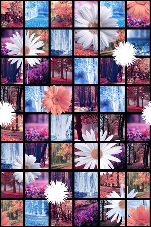 格子印花华亿平台图片