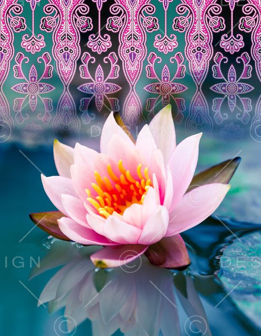 渐变印花华亿平台图片