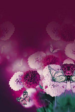 渐变印花华亿平台图片