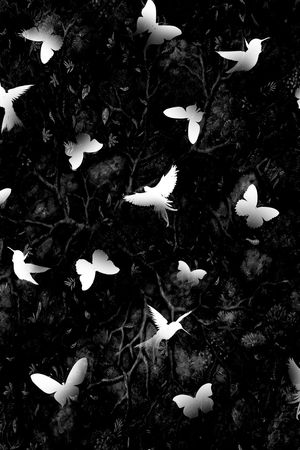 黑白抽象印花华亿平台图片