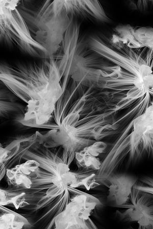 男装印花华亿平台图片