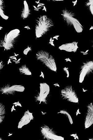 鸟印花华亿平台图片