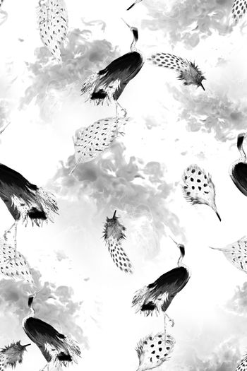 934759-FLZ17-9-58...