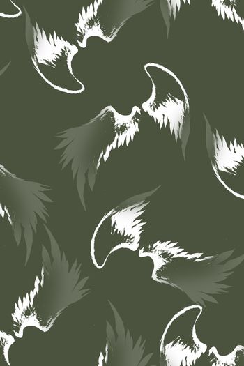 935050-FLZ17-9-62....