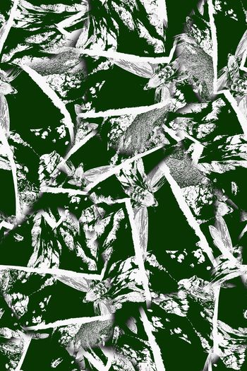 935069-FLZ17-9-64....