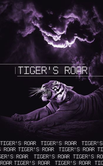 935086-FLZ17-9-65...