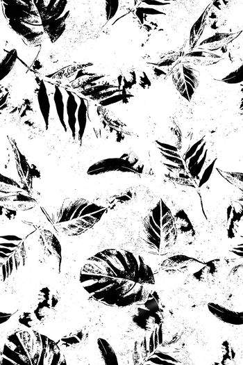 935132-FLZ17-9-67.....