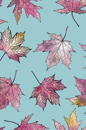 枫叶印花华亿平台图片