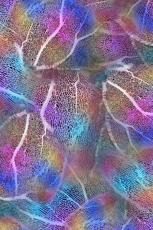 肌理印花华亿平台图片