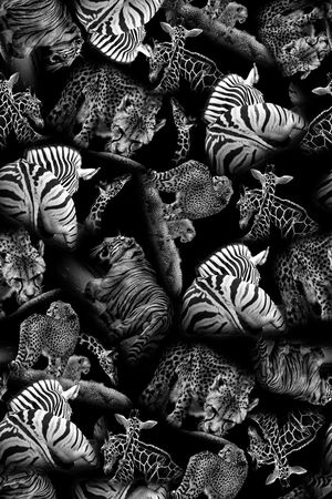 豹纹印花华亿平台图片