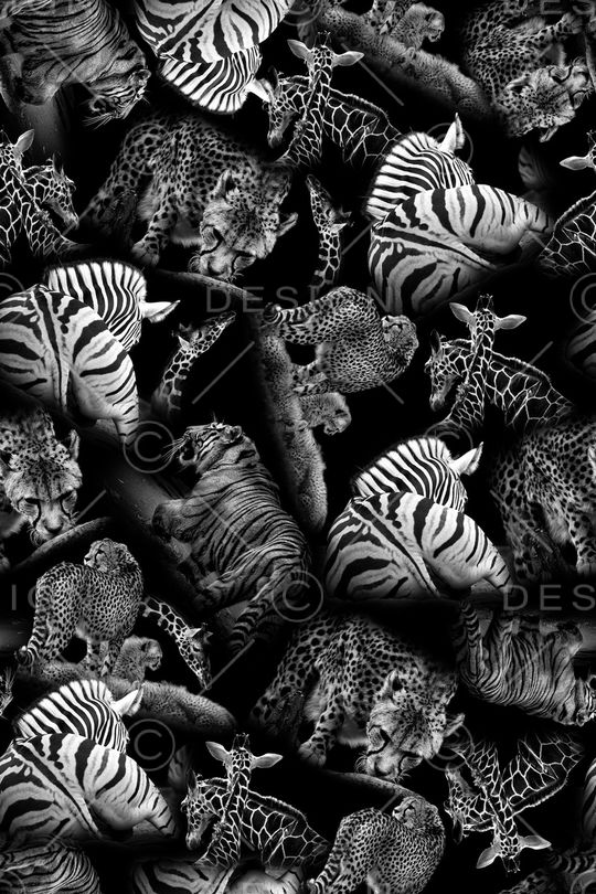 豹纹印花华亿平台图片