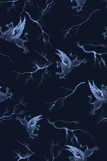 935511-17091201 - 副本2