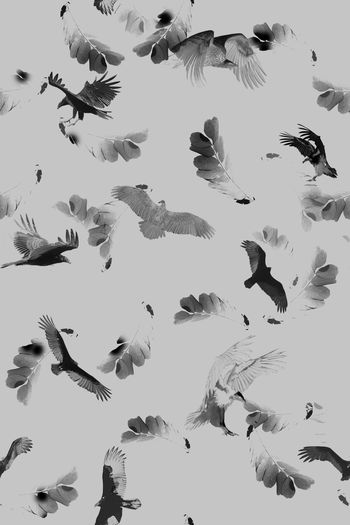 935516-17091203 - 副本