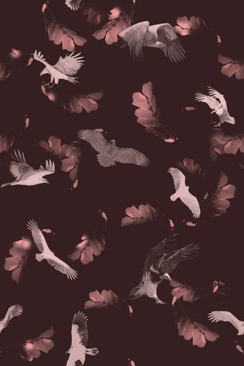 935517-17091203 - 副本2