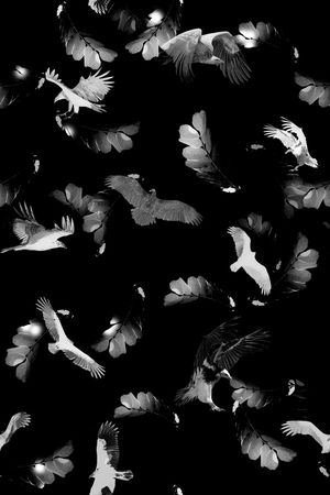 老鹰印花华亿平台图片