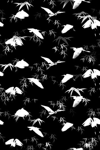 935524-竹叶白鹭黑底男装华亿平台