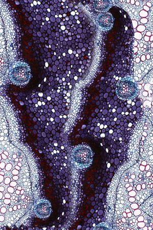 漩涡印花华亿平台图片