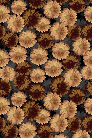 数码华亿平台印花华亿平台图片