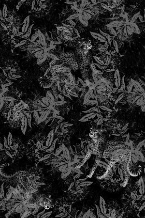 男装印花华亿平台图片