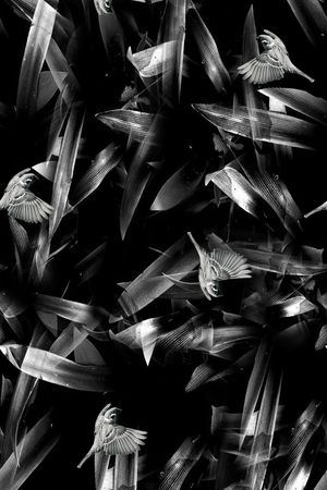 数码华亿平台印花华亿平台图片