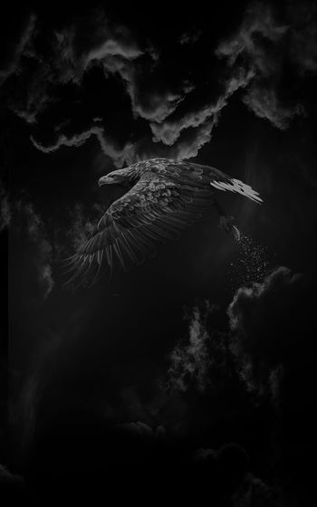 935868-FLZ17-9-69....