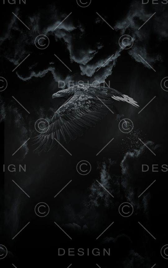 老鹰印花华亿平台图片