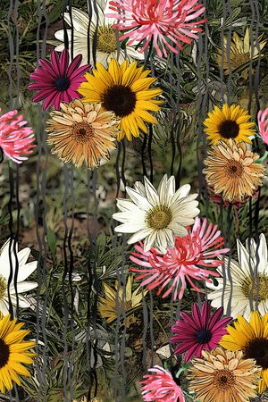 线条印花华亿平台图片