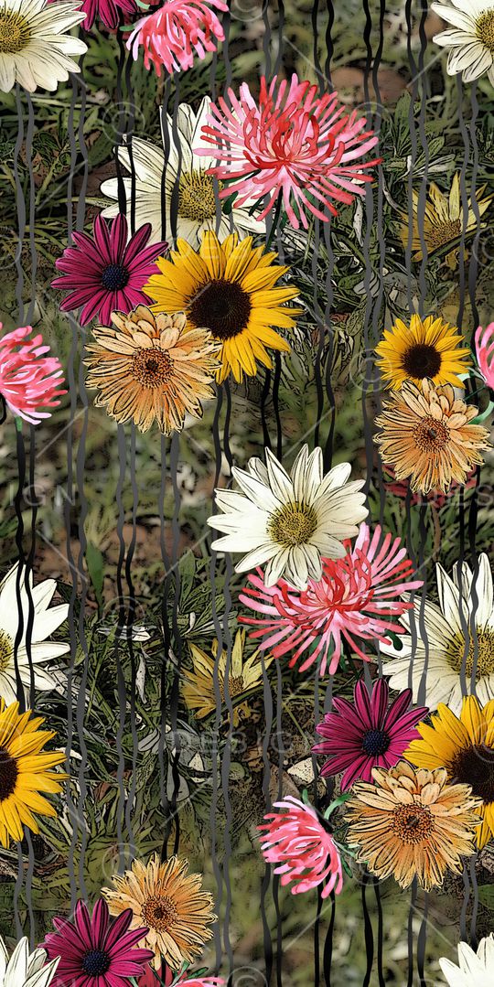 线条印花华亿平台图片