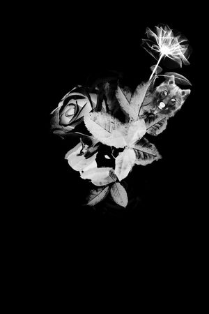 男装印花华亿平台图片