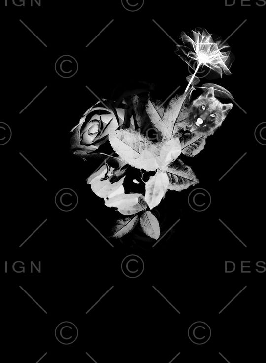 男装印花华亿平台图片