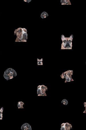 动物印花华亿平台图片