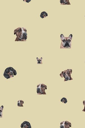 动物印花华亿平台图片