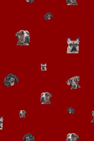 动物印花华亿平台图片