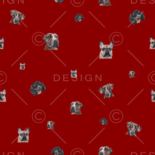 动物印花华亿平台图片