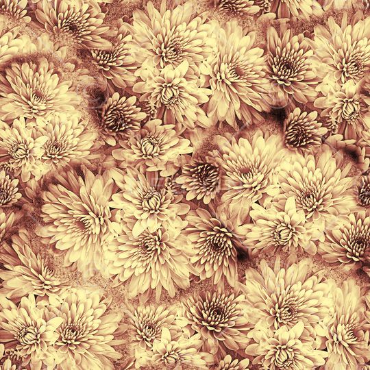 菊花印花华亿平台图片