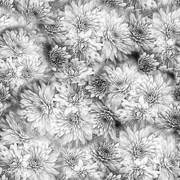 菊花印花华亿平台图片