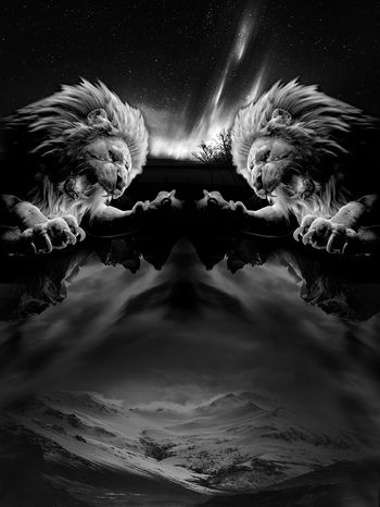 936616-FLZ17-9-82......