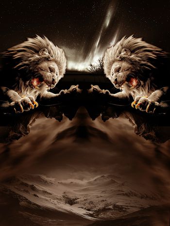 936617-FLZ17-9-82.....