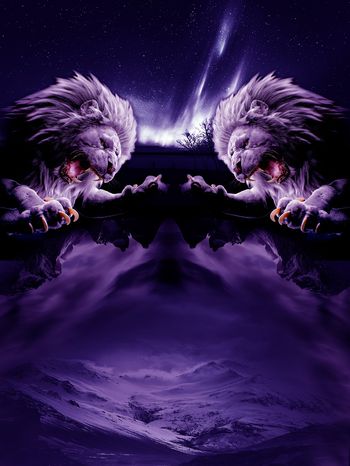 936618-FLZ17-9-82....