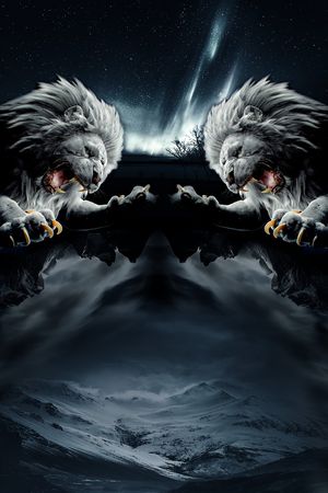 渐变印花华亿平台图片