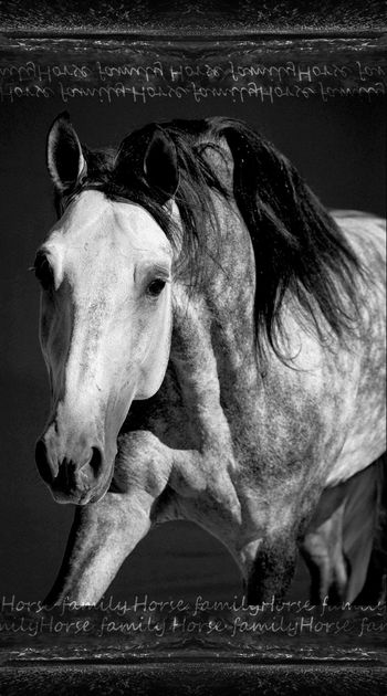 936647-FLZ17-9-84.....