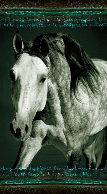 936648-FLZ17-9-84....