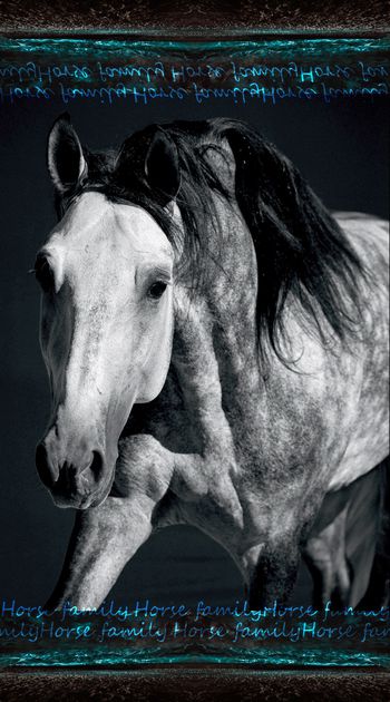 936650-FLZ17-9-84...